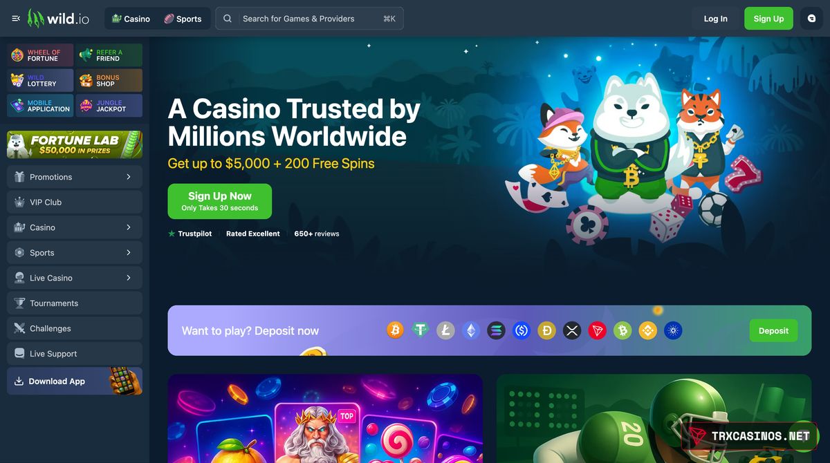 Wild.io homepage before login